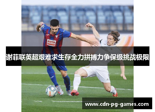 谢菲联英超艰难求生存全力拼搏力争保级挑战极限 谢菲联英超艰难求生存全力拼搏力争保级挑战极限
